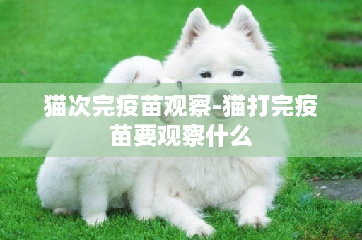貓次完疫苗觀察-貓打完疫苗要觀察什么