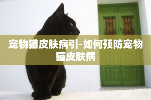 寵物貓皮膚病引-如何預防寵物貓皮膚病