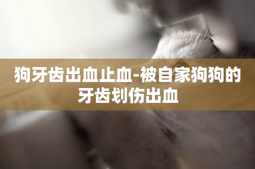 狗牙齒出血止血-被自家狗狗的牙齒劃傷出血