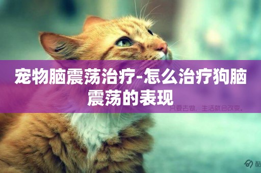寵物腦震蕩治療-怎么治療狗腦震蕩的表現