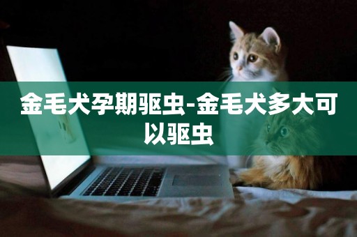 金毛犬孕期驅蟲-金毛犬多大可以驅蟲