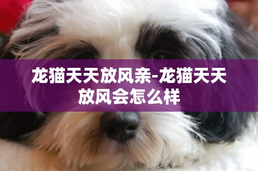 龍貓天天放風親-龍貓天天放風會怎么樣