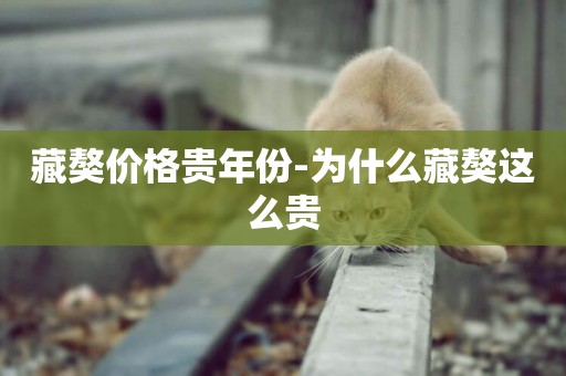 藏獒價格貴年份-為什么藏獒這么貴
