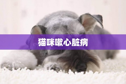 貓咪嗽心臟病