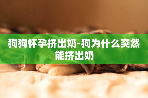 狗狗懷孕擠出奶-狗為什么突然能擠出奶