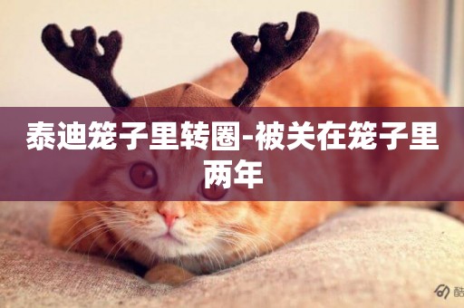 泰迪籠子里轉圈-被關在籠子里兩年