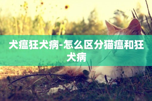 犬瘟狂犬病-怎么區分貓瘟和狂犬病