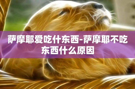 薩摩耶愛吃什東西-薩摩耶不吃東西什么原因