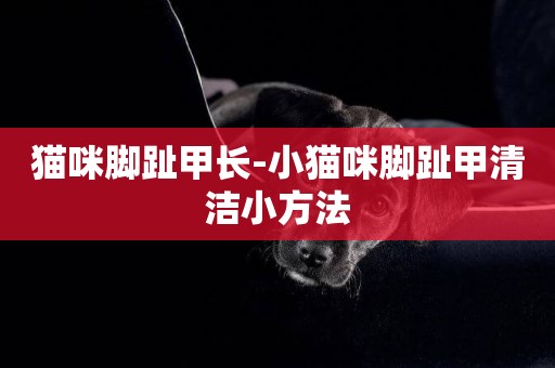 貓咪腳趾甲長-小貓咪腳趾甲清潔小方法