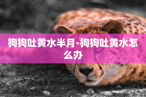 狗狗吐黃水半月-狗狗吐黃水怎么辦