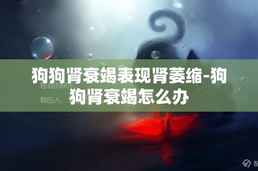 狗狗腎衰竭表現腎萎縮-狗狗腎衰竭怎么辦