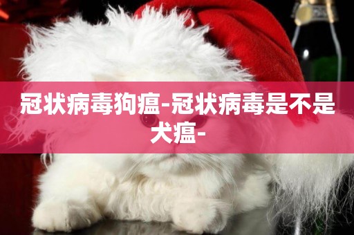 冠狀病毒狗瘟-冠狀病毒是不是犬瘟-