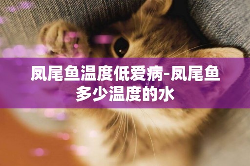 鳳尾魚溫度低愛病-鳳尾魚多少溫度的水