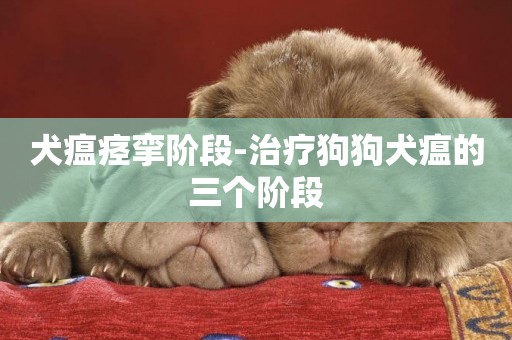 犬瘟痙攣階段-治療狗狗犬瘟的三個階段