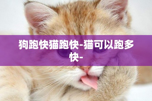 狗跑快貓跑快-貓可以跑多快-