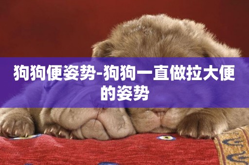 狗狗便姿勢-狗狗一直做拉大便的姿勢