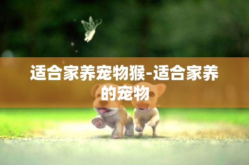 適合家養寵物猴-適合家養的寵物