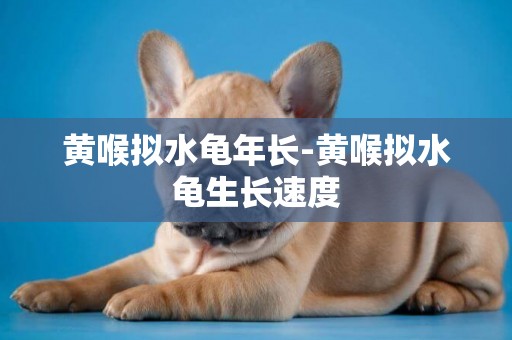 黃喉擬水龜年長-黃喉擬水龜生長速度