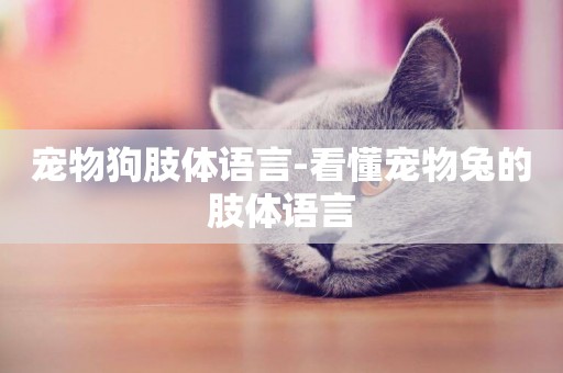 寵物狗肢體語言-看懂寵物兔的肢體語言