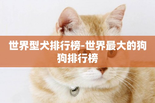 世界型犬排行榜-世界最大的狗狗排行榜