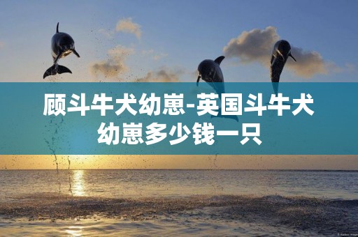 顧斗牛犬幼崽-英國斗牛犬幼崽多少錢一只