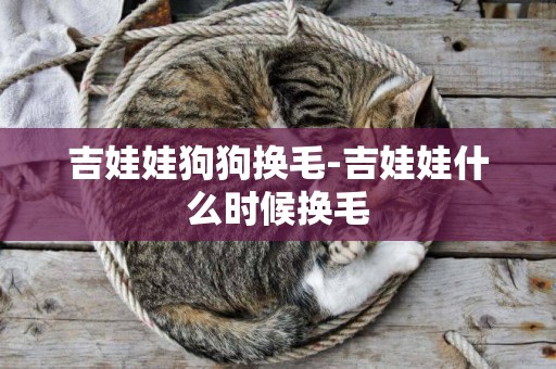 吉娃娃狗狗換毛-吉娃娃什么時候換毛