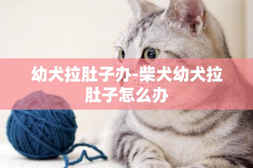 幼犬拉肚子辦-柴犬幼犬拉肚子怎么辦