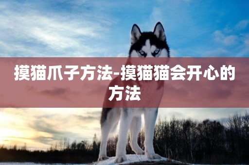 摸貓爪子方法-摸貓貓會開心的方法