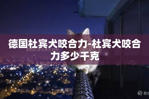 德國杜賓犬咬合力-杜賓犬咬合力多少千克