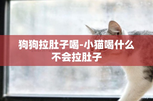 狗狗拉肚子喝-小貓喝什么不會拉肚子