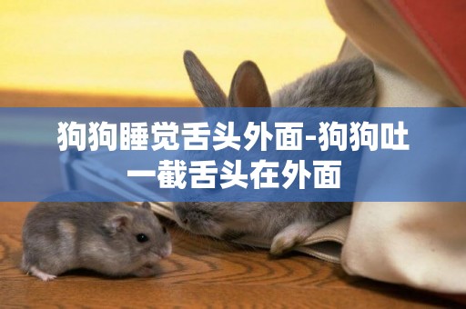 狗狗睡覺舌頭外面-狗狗吐一截舌頭在外面