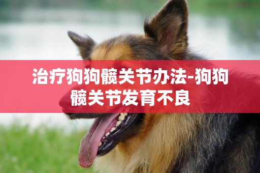 治療狗狗髖關節辦法-狗狗髖關節發育不良