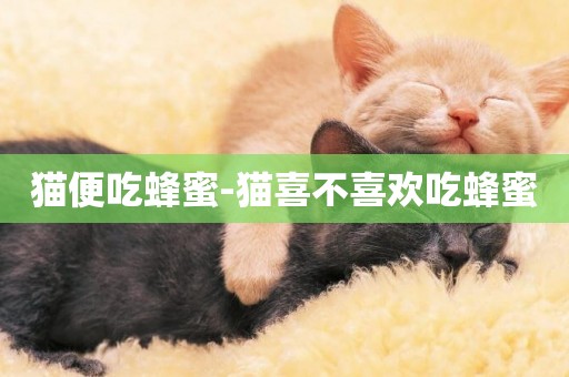 貓便吃蜂蜜-貓喜不喜歡吃蜂蜜