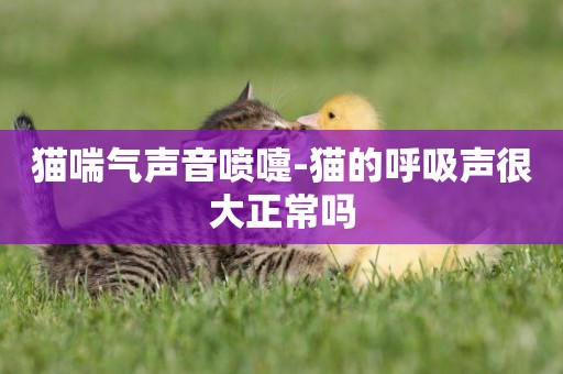 貓喘氣聲音噴嚏-貓的呼吸聲很大正常嗎