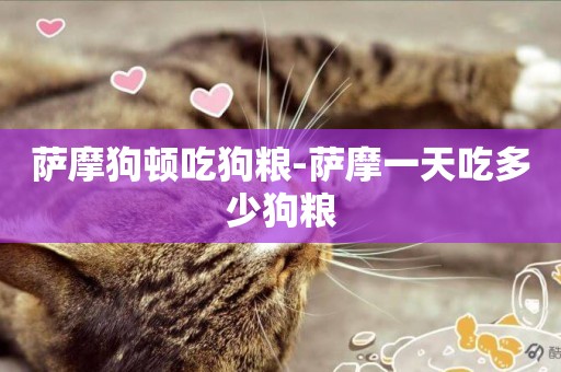 薩摩狗頓吃狗糧-薩摩一天吃多少狗糧