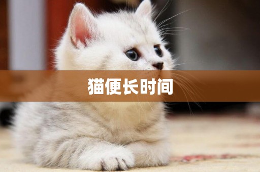 貓便長時間