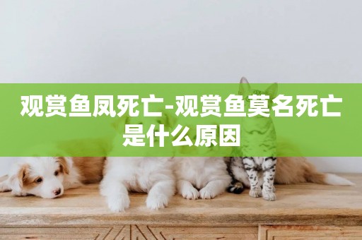 觀賞魚鳳死亡-觀賞魚莫名死亡是什么原因