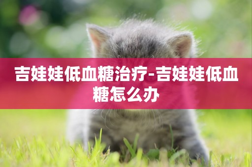 吉娃娃低血糖治療-吉娃娃低血糖怎么辦