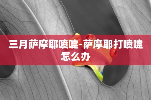 三月薩摩耶噴嚏-薩摩耶打噴嚏怎么辦