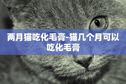 兩月貓吃化毛膏-貓幾個月可以吃化毛膏