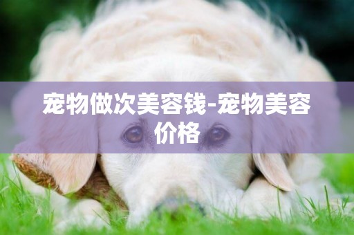 寵物做次美容錢-寵物美容價格