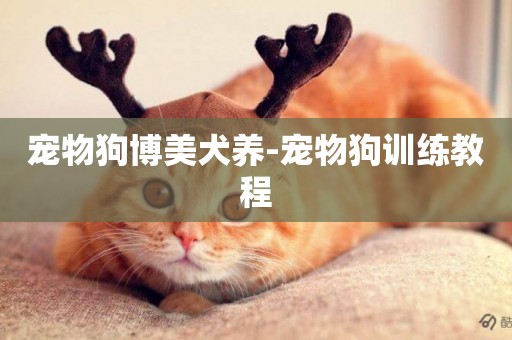 寵物狗博美犬養-寵物狗訓練教程