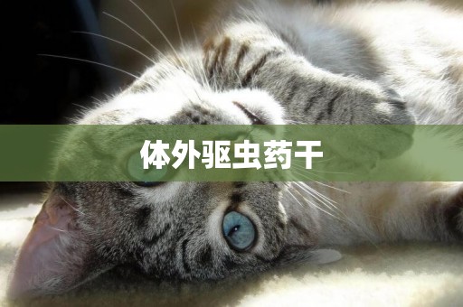 體外驅蟲藥干
