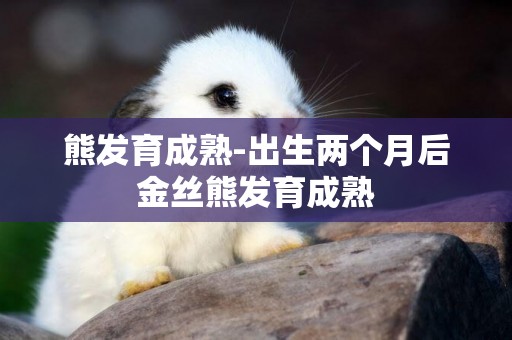 熊發育成熟-出生兩個月后金絲熊發育成熟