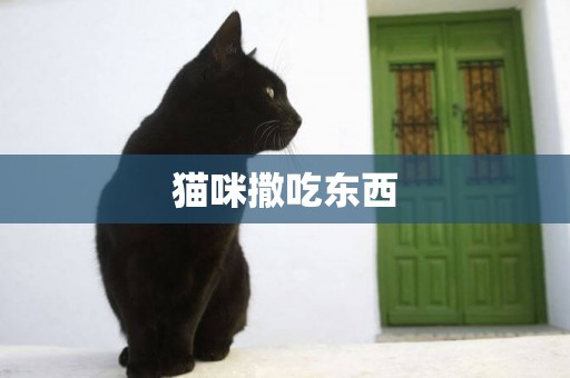 貓咪撒吃東西