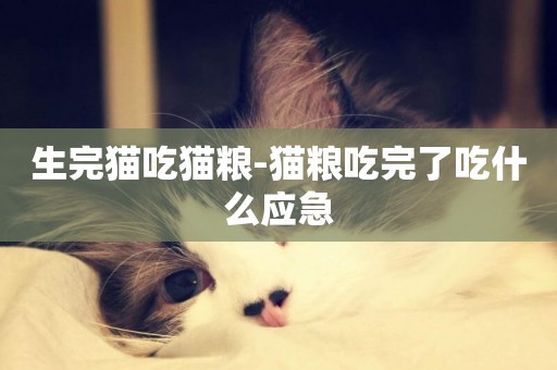 生完貓吃貓糧-貓糧吃完了吃什么應急