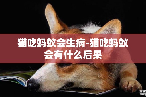貓吃螞蟻會生病-貓吃螞蟻會有什么后果