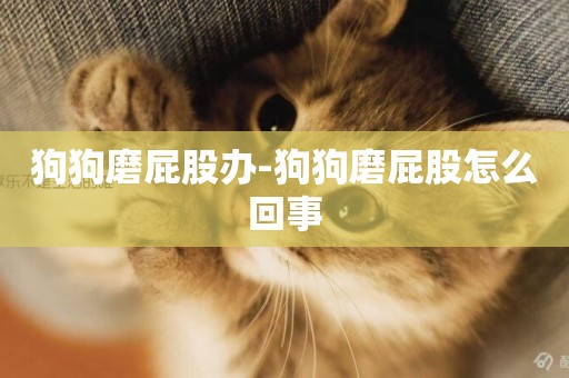 狗狗磨屁股辦-狗狗磨屁股怎么回事