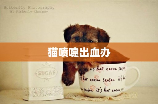 貓噴嚏出血辦