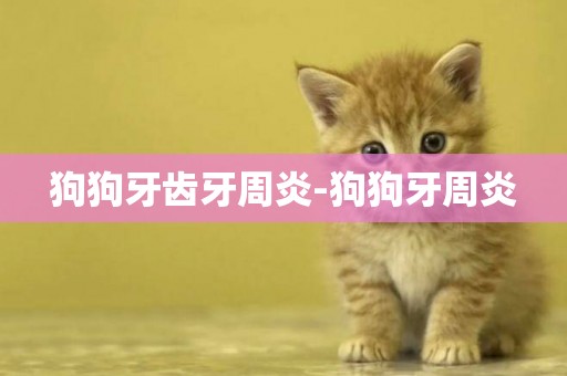狗狗牙齒牙周炎-狗狗牙周炎